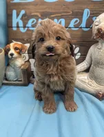 processed/704588db-dbd5-414c-9c0e-53aeddad23d3/listing/31e2bf25-473f-4bd2-9075-22ade1620884/5f91d2cb-5e7e-4caf-84ec-b240c5bc7761