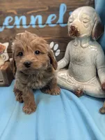 processed/704588db-dbd5-414c-9c0e-53aeddad23d3/listing/31e2bf25-473f-4bd2-9075-22ade1620884/f6686128-24ff-47e5-a094-f56ffffa3c12