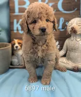 processed/704588db-dbd5-414c-9c0e-53aeddad23d3/listing/3266de12-6639-4b7e-92d3-fac232348101/1f194bd8-b190-4b41-9d67-1abd979f2586