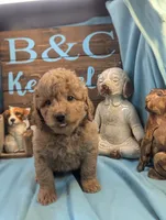 processed/704588db-dbd5-414c-9c0e-53aeddad23d3/listing/3266de12-6639-4b7e-92d3-fac232348101/2ae79e4c-03f1-433b-abfc-27ed22940ab0