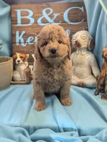 processed/704588db-dbd5-414c-9c0e-53aeddad23d3/listing/3266de12-6639-4b7e-92d3-fac232348101/a21e10a4-e559-43ea-974e-48be5ef9265e