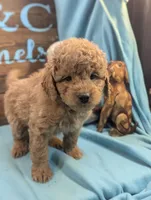 processed/704588db-dbd5-414c-9c0e-53aeddad23d3/listing/3266de12-6639-4b7e-92d3-fac232348101/b92be4d0-a813-4475-8ae0-1645e3dabae8