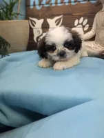 processed/704588db-dbd5-414c-9c0e-53aeddad23d3/listing/3d5483fd-68cd-4466-a4b1-ed6382d1d05c/4ac6dadf-9151-46c4-8c19-844a94248b2a