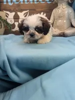 processed/704588db-dbd5-414c-9c0e-53aeddad23d3/listing/3d5483fd-68cd-4466-a4b1-ed6382d1d05c/4de8637c-2a71-469f-9635-a7127d2c714c