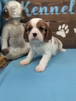 processed/704588db-dbd5-414c-9c0e-53aeddad23d3/listing/5c2f4452-ae49-4851-ba74-842cddcd78ab/b01c317c-12e6-4539-80de-2d1d6d4e83dd