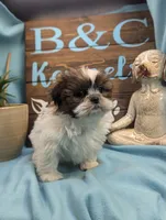 processed/704588db-dbd5-414c-9c0e-53aeddad23d3/listing/76051a3b-e38d-4361-abb8-34ebb3e80abc/92f0ddb1-b104-47d6-b48e-a4aa8b57ff94