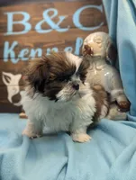 processed/704588db-dbd5-414c-9c0e-53aeddad23d3/listing/76051a3b-e38d-4361-abb8-34ebb3e80abc/cc27b18f-e68e-4bab-80f3-f5c3373a3c79