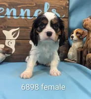 processed/704588db-dbd5-414c-9c0e-53aeddad23d3/listing/c536e315-7a7b-408f-bdc9-8afec189971e/13a1fbf5-7bf4-43db-8896-fba60ec3bb49