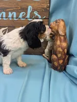 processed/704588db-dbd5-414c-9c0e-53aeddad23d3/listing/c536e315-7a7b-408f-bdc9-8afec189971e/3c3ffba8-c319-4b93-8912-c5b7203f541f