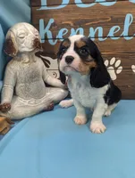 processed/704588db-dbd5-414c-9c0e-53aeddad23d3/listing/c536e315-7a7b-408f-bdc9-8afec189971e/b44ba295-ca97-427f-97e0-2a6ac2791fea