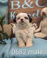 processed/704588db-dbd5-414c-9c0e-53aeddad23d3/listing/c76432a2-d295-4971-958f-bd9f88b2b283/0839c8df-c77a-4a22-a8f0-29fd8a4213e2