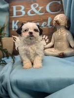 processed/704588db-dbd5-414c-9c0e-53aeddad23d3/listing/c76432a2-d295-4971-958f-bd9f88b2b283/b40188d4-3cc0-412f-b59a-ccc0e7712e9f