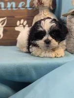 processed/704588db-dbd5-414c-9c0e-53aeddad23d3/listing/e51bafbd-16c5-48ba-83dc-8c30ff634371/b5b84ee8-3093-47ff-91bd-cbcdf19eba1d