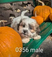 processed/704588db-dbd5-414c-9c0e-53aeddad23d3/listing/e88deadc-5642-4da6-86e9-95a48fb28b87/5c7b12f8-813f-48d0-b099-626a18d19793