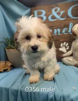 processed/704588db-dbd5-414c-9c0e-53aeddad23d3/listing/e88deadc-5642-4da6-86e9-95a48fb28b87/c978f6a5-884c-4c42-8ca1-bfdd5cfca76c