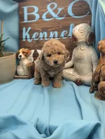 processed/704588db-dbd5-414c-9c0e-53aeddad23d3/listing/f407e5b7-b888-45b3-9b25-a893550a0b05/364c0243-78a7-449d-a48b-a6cb37e60616