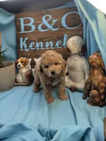 processed/704588db-dbd5-414c-9c0e-53aeddad23d3/listing/f407e5b7-b888-45b3-9b25-a893550a0b05/9850bda6-0099-4e04-8918-fab58a208510