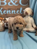 processed/704588db-dbd5-414c-9c0e-53aeddad23d3/listing/f407e5b7-b888-45b3-9b25-a893550a0b05/c3574d3b-d8eb-49d2-93d2-a7e4fde9b7ce