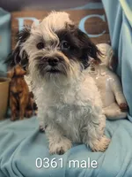 processed/704588db-dbd5-414c-9c0e-53aeddad23d3/listing/f7664849-5622-421c-bba1-6b3d8807709e/509d43db-5363-468a-8932-cf8c4c2eb02d