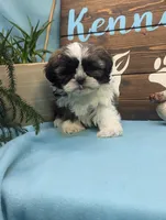 processed/704588db-dbd5-414c-9c0e-53aeddad23d3/listing/f8d22d02-e850-4d22-8b38-b3e26b7f20fb/5f685da6-84a4-4e3c-b7fd-7410353e00ca