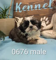 processed/704588db-dbd5-414c-9c0e-53aeddad23d3/listing/f8d22d02-e850-4d22-8b38-b3e26b7f20fb/64979916-9e17-421c-b8e9-82132cde4441