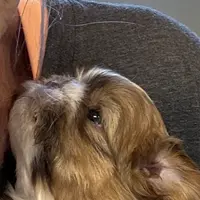 processed/705e1cb0-f6c6-4053-b7aa-fd80ae5936ef/facility/9e4d02c5-4f37-48af-817e-bb20e07dbb9b