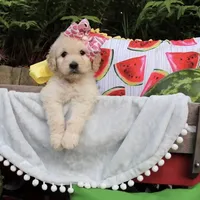 processed/706e3815-d453-46de-99a9-0177190c4f58/facility/1c64af35-c373-48e4-8da6-8ad9be9f9e49