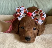 processed/706e3815-d453-46de-99a9-0177190c4f58/facility/d1fefe59-df92-4545-899d-ad57c73c201b