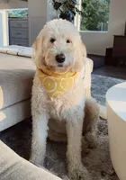 processed/706e3815-d453-46de-99a9-0177190c4f58/facility/f85230b0-7c5f-491f-b5c2-50a31fd0d862