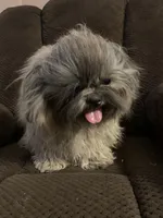 processed/70722c60-660b-4cf3-822d-fcb7215dd097/listing/3f350426-adce-47ed-ad72-dea0c8726ec6/add28e77-9f45-45c6-a890-6a8b674ec4dd