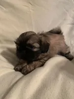 processed/70722c60-660b-4cf3-822d-fcb7215dd097/listing/3f350426-adce-47ed-ad72-dea0c8726ec6/d1e500c2-4f24-4746-9b23-ae52b434965a