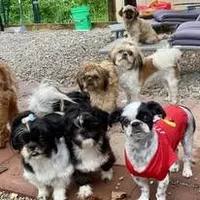 processed/707898e4-91a6-45f9-aa09-406374e06bf9/facility/0e6ea143-a690-4845-9c16-f7704fb3d460