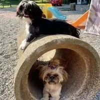 processed/707898e4-91a6-45f9-aa09-406374e06bf9/facility/97decb58-044f-4127-a7a8-d17f3dbdf85b