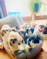 processed/707898e4-91a6-45f9-aa09-406374e06bf9/facility/9dcf4720-1cce-4485-a17e-d1b6f8d5c9b7