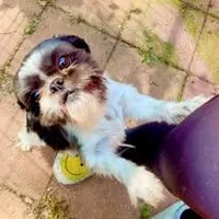 processed/707898e4-91a6-45f9-aa09-406374e06bf9/facility/adaf4925-a527-42fc-adae-475fd2197796