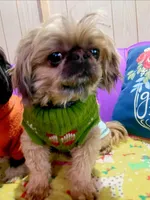 processed/707898e4-91a6-45f9-aa09-406374e06bf9/facility/c1ae3e63-5961-4cbf-a3b2-fee8730febc5