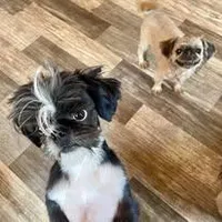 processed/707898e4-91a6-45f9-aa09-406374e06bf9/facility/d47d5f04-79c8-4705-aee0-445b7ae2ae7f