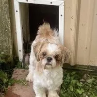 processed/707898e4-91a6-45f9-aa09-406374e06bf9/facility/e3e3e67d-ec64-416f-88a8-518be3e94b4e