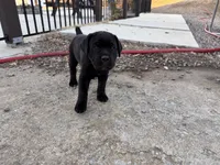 processed/70880ac1-0ee9-455f-8e7d-d6d5da23dc47/listing/85de8fcc-c97c-4e8c-b051-00018ca25234/3ef6eb28-35da-422d-be52-77ce8bf69e3c