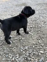 processed/70880ac1-0ee9-455f-8e7d-d6d5da23dc47/listing/85de8fcc-c97c-4e8c-b051-00018ca25234/4d4d4c96-9856-421c-8fbb-27e41cb06eae