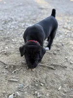 processed/70880ac1-0ee9-455f-8e7d-d6d5da23dc47/listing/85de8fcc-c97c-4e8c-b051-00018ca25234/65d339d9-03b3-4e43-9ff2-17e0265851d6