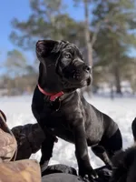 processed/70880ac1-0ee9-455f-8e7d-d6d5da23dc47/listing/85de8fcc-c97c-4e8c-b051-00018ca25234/65f7725a-b9aa-40d5-9e2f-805d3a11f97b