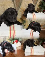 processed/70880ac1-0ee9-455f-8e7d-d6d5da23dc47/listing/85de8fcc-c97c-4e8c-b051-00018ca25234/6aabc5d9-392b-4a59-99a8-f22a227bcadf