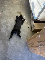 processed/70880ac1-0ee9-455f-8e7d-d6d5da23dc47/listing/85de8fcc-c97c-4e8c-b051-00018ca25234/71811d91-166c-4ed7-88bc-ac65eaa74496