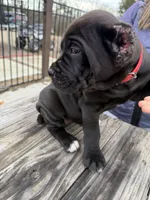 processed/70880ac1-0ee9-455f-8e7d-d6d5da23dc47/listing/85de8fcc-c97c-4e8c-b051-00018ca25234/a8176efc-68f8-4b0a-998e-74e17fac2735