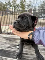 processed/70880ac1-0ee9-455f-8e7d-d6d5da23dc47/listing/85de8fcc-c97c-4e8c-b051-00018ca25234/b6e9a58b-87e0-4c65-a440-0fbb5dde47eb