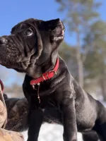 processed/70880ac1-0ee9-455f-8e7d-d6d5da23dc47/listing/85de8fcc-c97c-4e8c-b051-00018ca25234/d68739dc-68da-45b3-832f-bebaab74b875