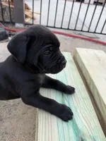 processed/70880ac1-0ee9-455f-8e7d-d6d5da23dc47/listing/85de8fcc-c97c-4e8c-b051-00018ca25234/e155ce0f-63a4-47b4-9c61-8af3f8905521