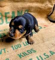 processed/7091d357-0f46-4cb9-bff5-05677d82e510/listing/a9197407-0fea-4c0f-aa1d-e78feb340e51/3e8d2b0e-5176-453f-a3de-06d66f17e6d5