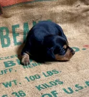 processed/7091d357-0f46-4cb9-bff5-05677d82e510/listing/a9197407-0fea-4c0f-aa1d-e78feb340e51/49776e4e-084e-4222-b09c-dedeab586fb3